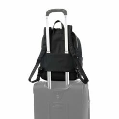 Travelpro Platinum® Elite Iconic Luggage Set -Travelpro Sales 409182D01 4